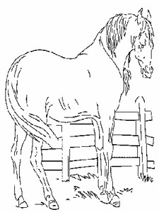 Horse to color Horse to color