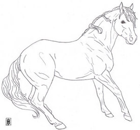 Horse to Color