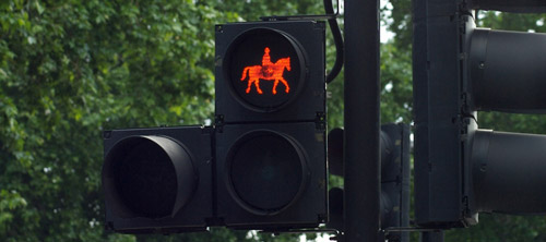 Horse Traffic