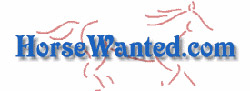 Horse wanted