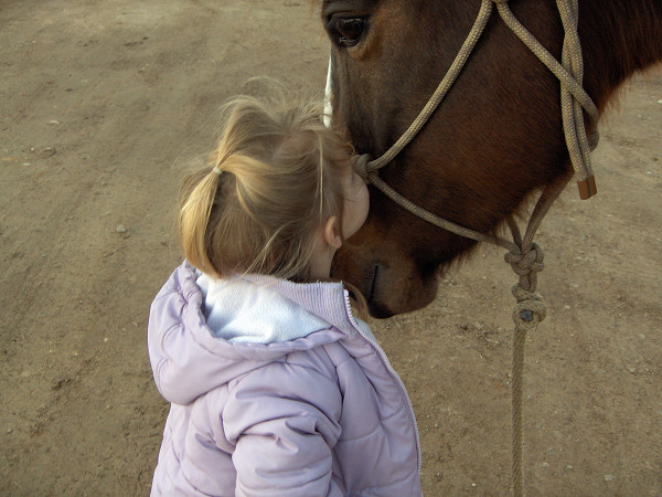 Little girl kissing bay horse head