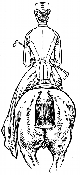 Horsemanship for Women Horsemanship for Women