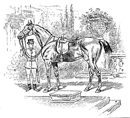 Horsemanship for Women