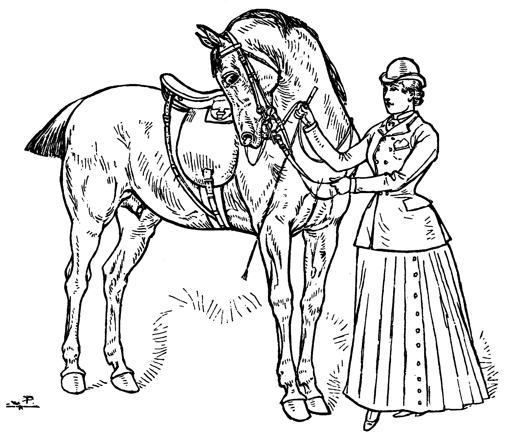 28+ inspirational pictures Gypsy Horse Coloring Pages / Horse Coloring