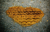 Horsepoop Heart