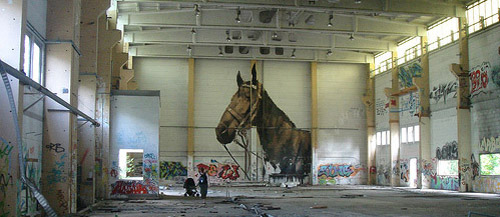 Horse Graffiti Horse Graffiti