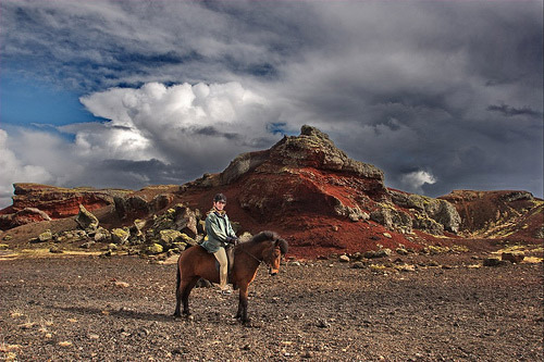 Horses with riders in Iceland Horses with riders in Iceland