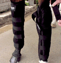 Icing Boots Icing Boots