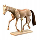Wooden Horse Manikin