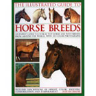 The Illustrated Guide to Horse Breeds