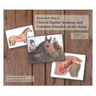 Illustrated Atlas of Clinical Equine Anatomy and Common Disorders of the Horse