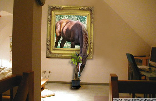 Horse Photoshop Horse Photoshop