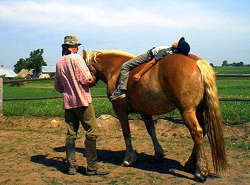 Riding instructor with a child on a horse