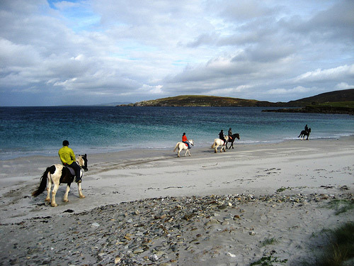 Horse in Ireland
