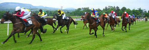 Irish Horse Racing