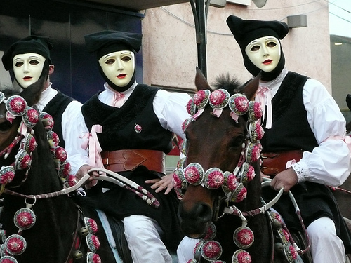 Oristano, Sardinia, Italy Horse in Italy