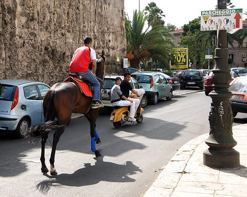 Unruly Horse in Italy Horse in Italy