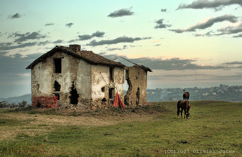 Horses in Italy Horse in Italy