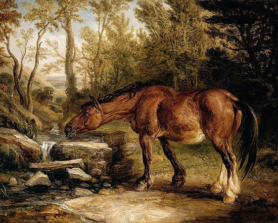 A Horse Drinking at a Stream