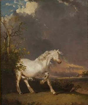 A horse in a landscape startled by lightning
