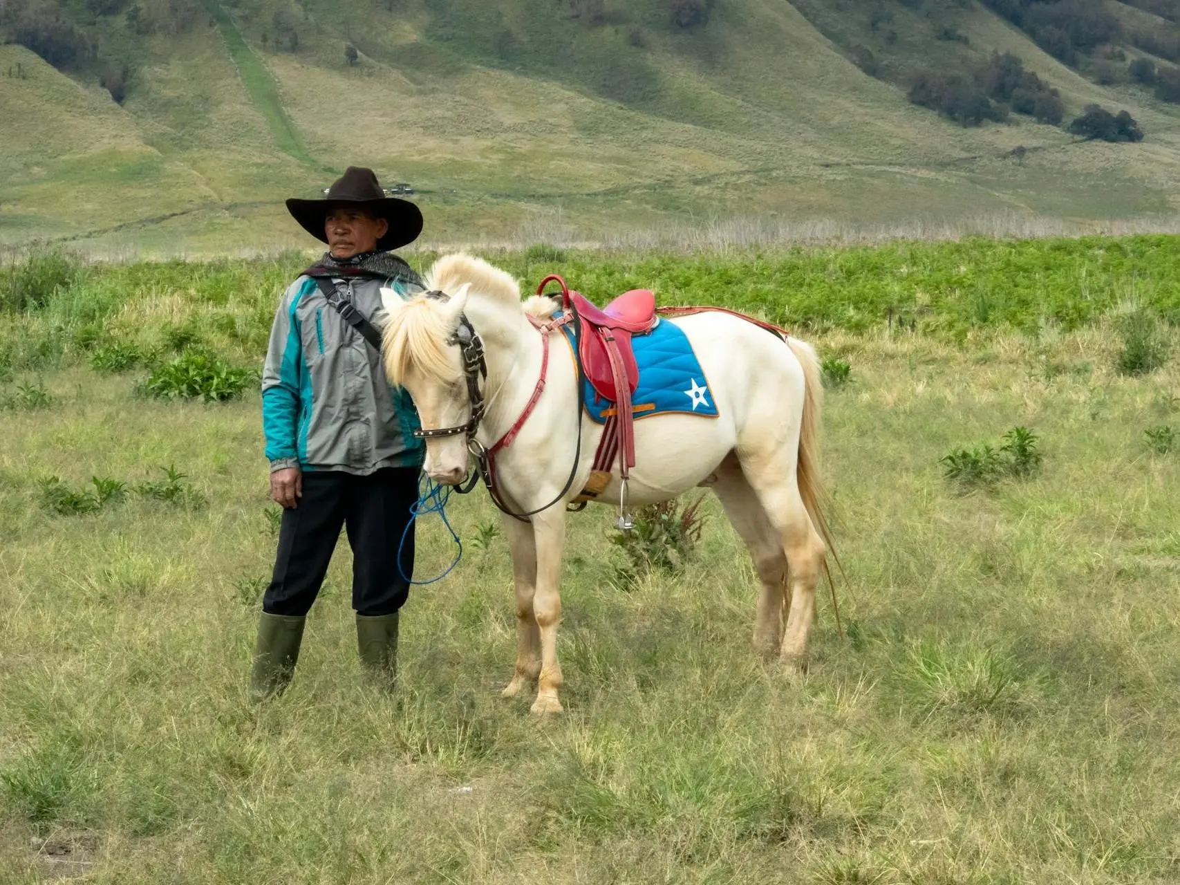 Java Pony