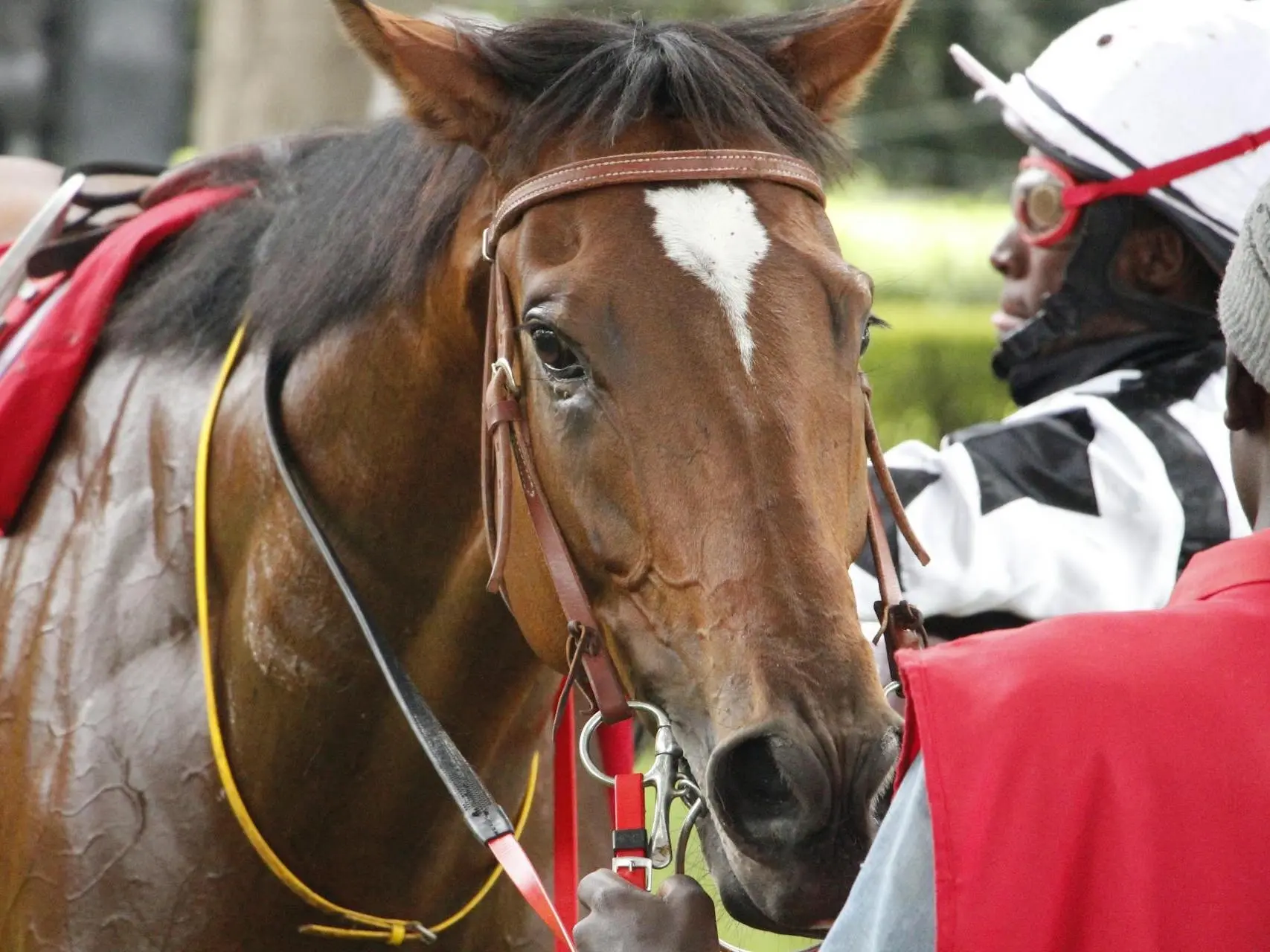 Young man with a jockey and horse