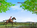 Horse Jumping