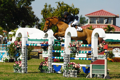 Show Jumping
