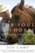 The Soul of a Horse: Life Lessons From The Herd