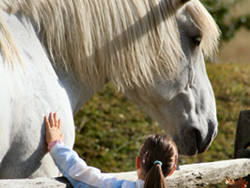 A girl petting a horse