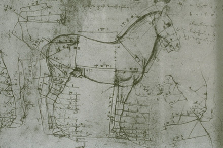 Leonardo da Vinci Horse Sketch