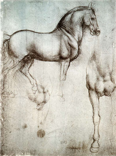 The Horses of Leonardo da Vinci | The Equinest
