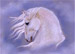 Linda Woolford