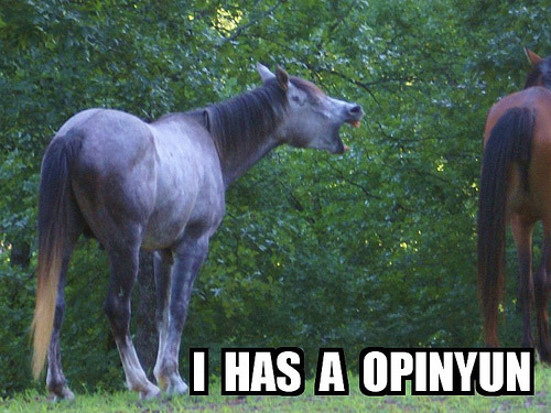 I has a opinyun lolhorse