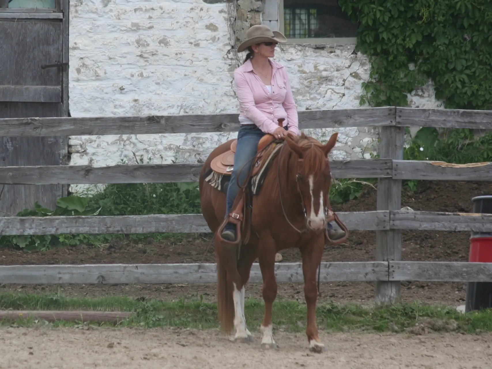 Horse with a badger face