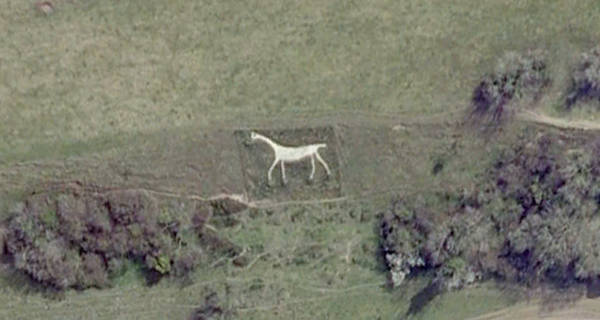 Marlborough White Horse