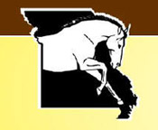 2010 Missouri Equine Council Annual Horse Celebration
