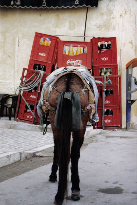 Who knew horses could develop a coke habit? Horse laden with crates of Coca Cola