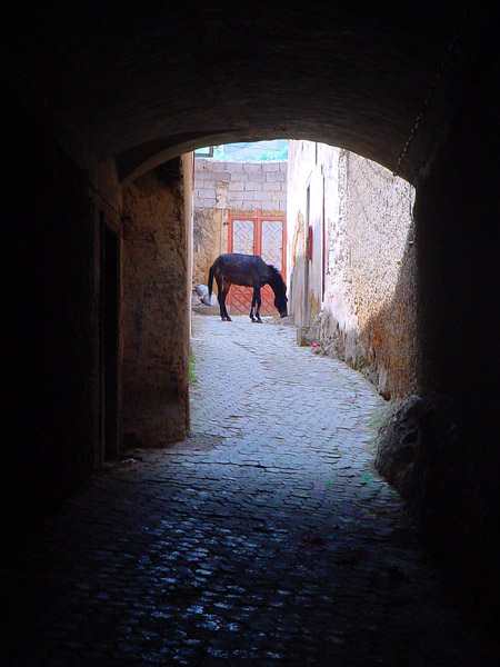 Horse in between stone buildings