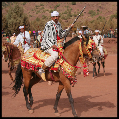 Moroccan Horse Show