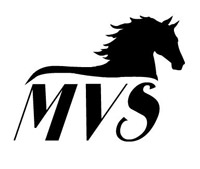 Mountain View Studios logo