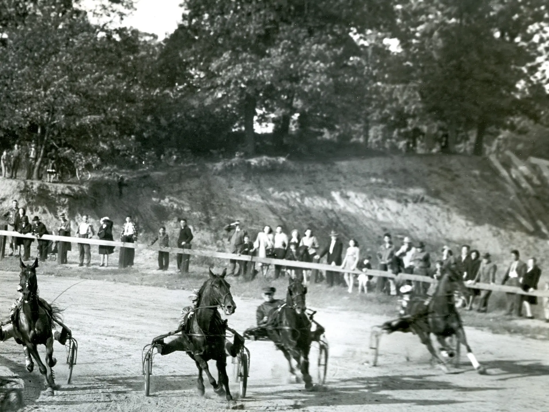 Narragansett Pacer