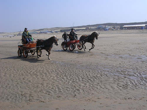 Scheveningen Horse in the Netherlands