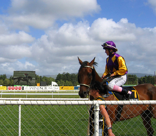 Horse Pictures from New Zealand | The Equinest