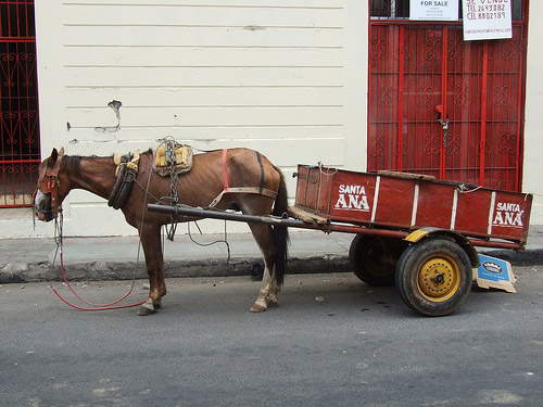 Horse and cart in Nicaragua Horse in Nicaragua