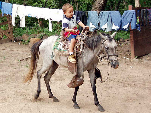 Horse and child in Nicaragua Horse in Nicaragua