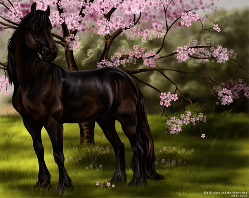 Black Horse + Cherry Tree, horse art