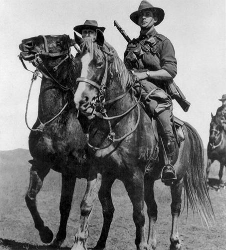 Australian Horsemen Riding Waler Horses