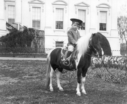 Quentin Roosevelt & Pony