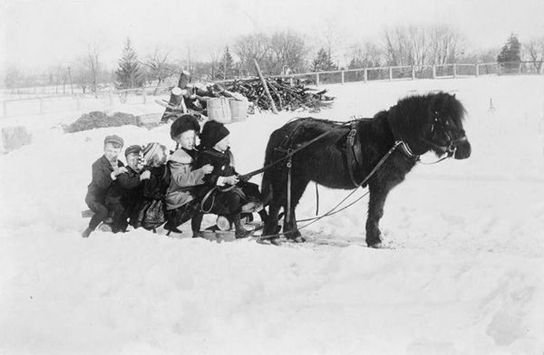 Children on a pony drawn sled